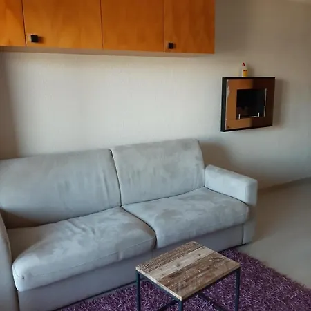 The Purple Fox's Family - * Veysonnaz