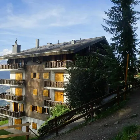 The Purple Fox's Family - *